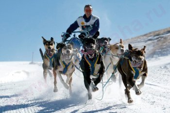 Пас-де-ла-Касу (Андорра)