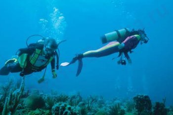 Барбадос отпуск