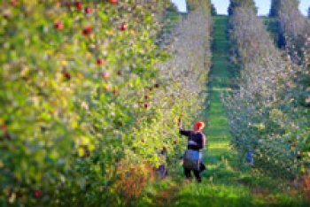 Брест путешествие (Беларусь)
