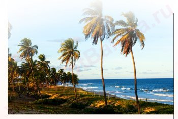 отдых в Бразилии