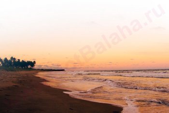 путешествие в Бразилию