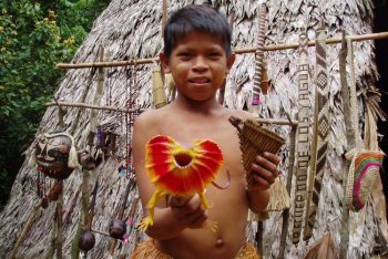 Амазония отдых (Бразилия)