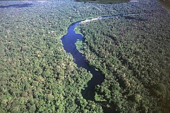 Амазония путёвки (Бразилия)