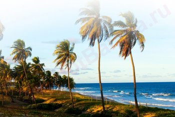 Коста-ду-Сауипе путешествие (Бразилия)