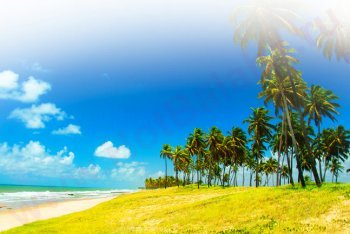 Коста-ду-Сауипе поездка (Бразилия)