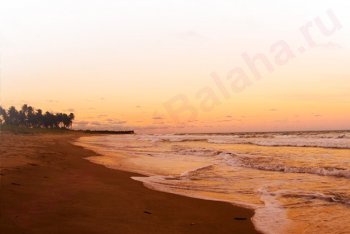 Коста-ду-Сауипе путёвки (Бразилия)