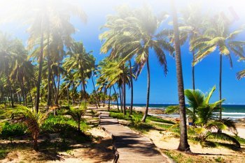 Коста-ду-Сауипе отдых (Бразилия)