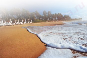 Коста-ду-Сауипе туры (Бразилия)