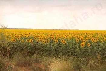 Болгария