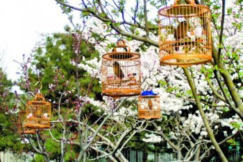 Пекин путешествие (Китай)