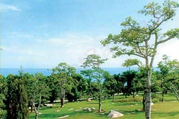 Хайнань фотографии (Китай)