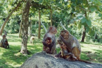 туризм Хайнань (Китай)