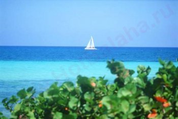 отдых на Кайо-Коко, пляжный отдых на Кайо-Коко (Куба)