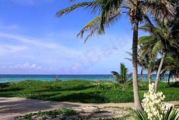 Кайо-Коко, туры на Кайо-Коко (Куба)