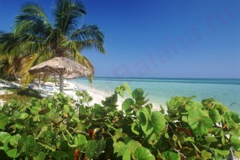 Кайо-Ларго, отдых на Кайо-Ларго (Куба)