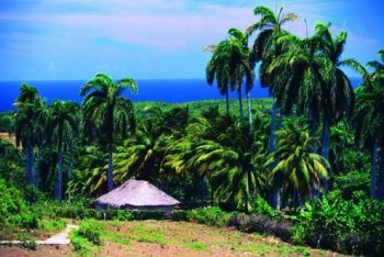 Ольгин фото, Ольгин фотографии (Куба)