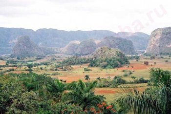 Ольгин поездка (Куба)