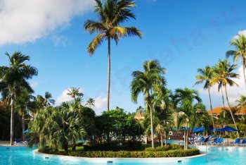 фото Доминиканы, фотографии Доминиканы