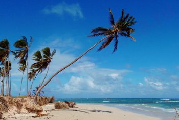 туры в Доминикану