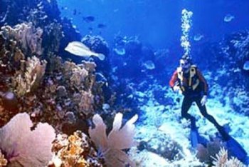 Бока-Чика дайвинг