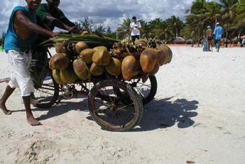 Бока-Чика фото, Бока-Чика фотографии (Доминикана)