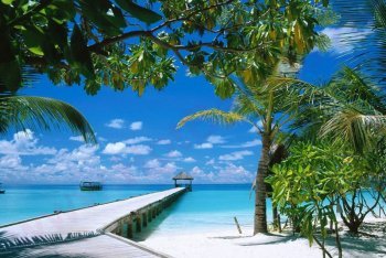 Пунта-Кана, туры в Пунта-Кану (Доминикана)