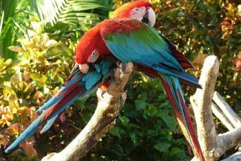 Пунта-Кана поездка (Доминикана)