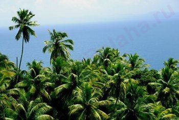 путёвки на Саману