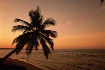 Сосуа путешествие (Доминикана)