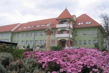 озеро Хевиз путешествие (Венгрия)