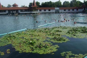 озеро Хевиз фотографии (Венгрия)