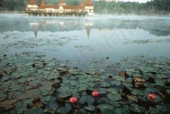 озеро Хевиз фото (Венгрия)