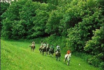 Шарвар путёвки (Венгрия)