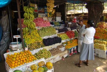 поездка в Индию
