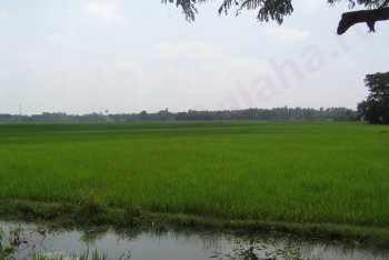 Индия, фото Индии