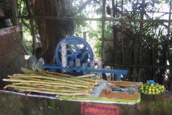 Индия, туры в Индию