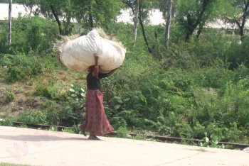 Агра поездка (Индия)