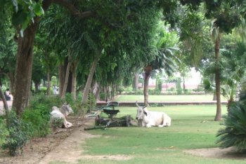 фотографии Агра (Индия)