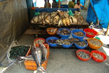 Кочин поездка (Индия)