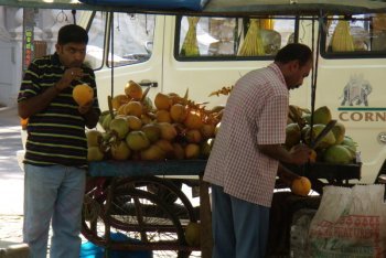 Кочин отдых (Индия)