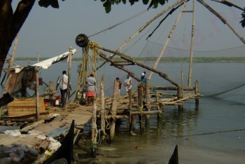 Кочин фото (Индия)