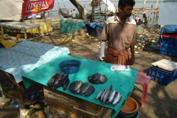 Кочин туры (Индия)