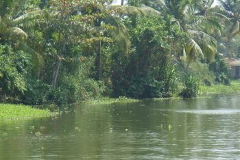 Керала путешествие (Индия)