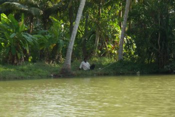 Керала отдых (Индия)