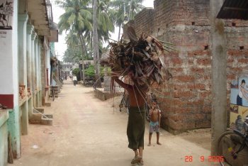 Керала туры, Керала отдых (Индия)