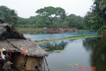 туры в Кералу (Индия)