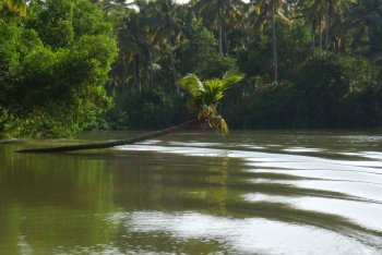 Керала путёвки (Индия)