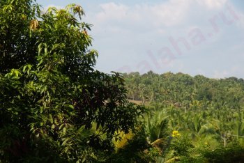 Ковалам туры (Индия)