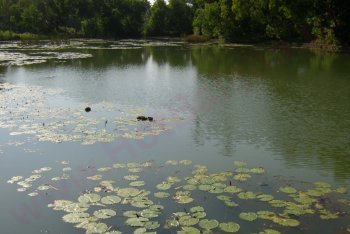 Ковалам поездка (Индия)