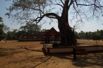 поездка в Тривандрум (Индия)